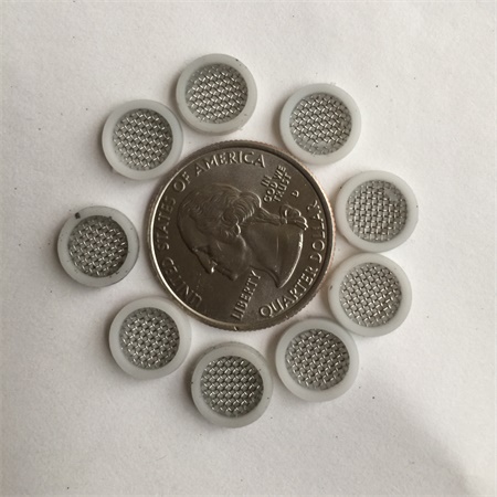 Nine screen gaskets are around a foreign coin.